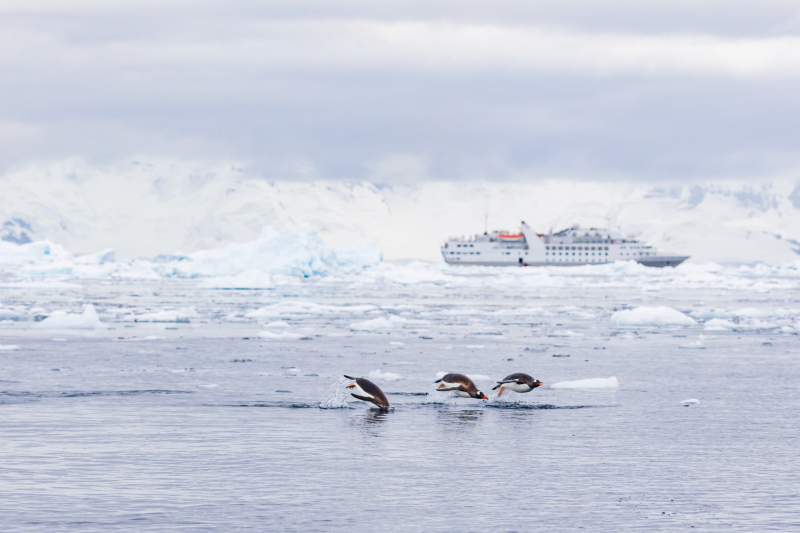 Exploris Antarctic expedition experience